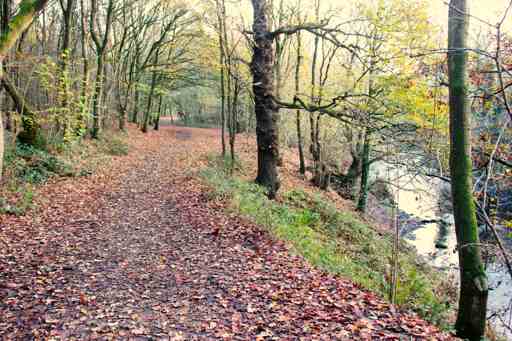 image of transpennine-reddish