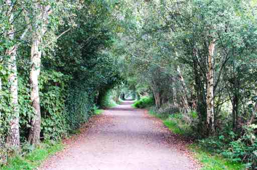 image of transpennine-warrington